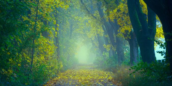 Test image 800x400